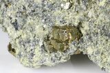 Pyrite Crystals in Matrix - Nærsnes, Norway #177279-2